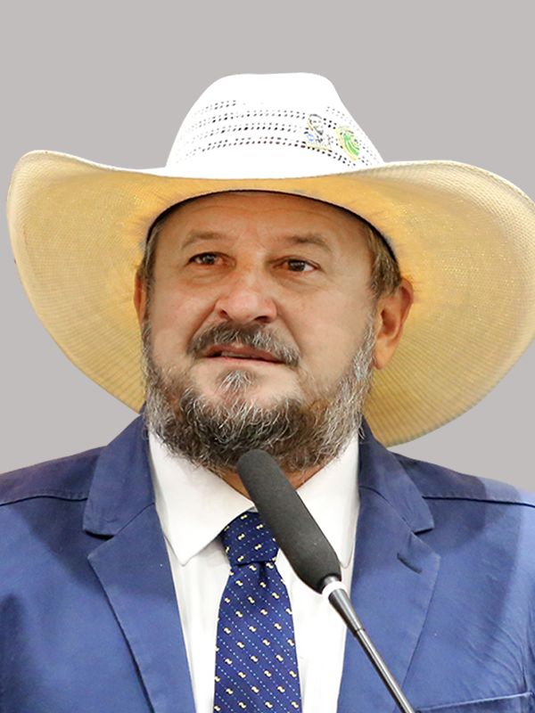 Foto deputado: Gilberto Cattani