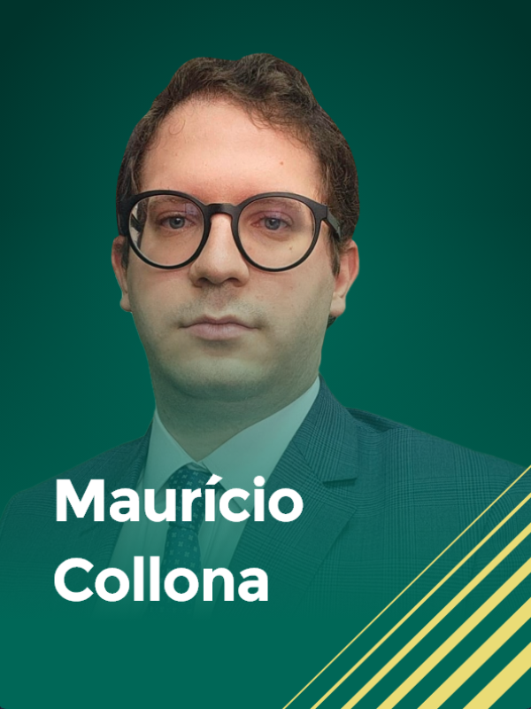 Foto deputado: Maurício Collona