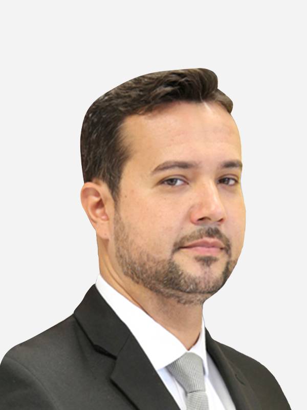 Foto deputado: Fabio Simoa