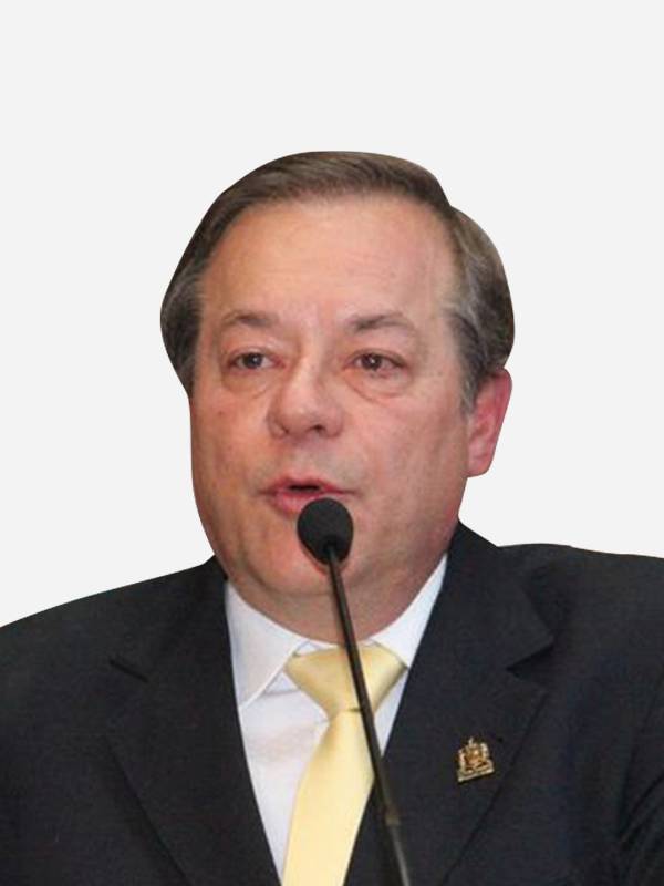 Foto deputado: Afonso Torres