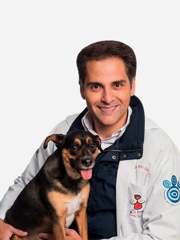 Foto deputado: Pery Cartola