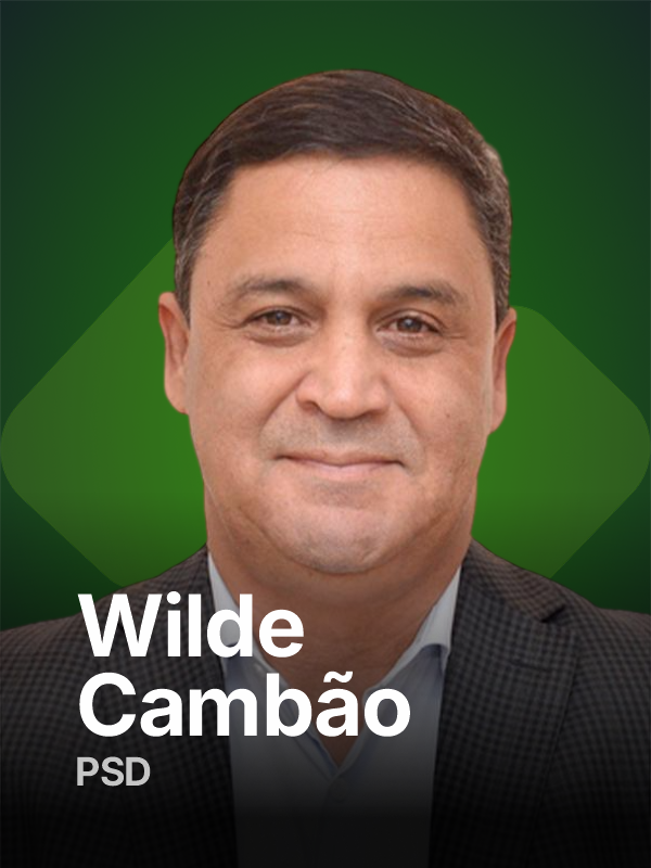 Foto deputado: Wilde Cambão