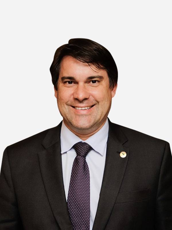 Foto deputado: Niltinho