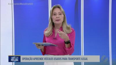 Opera&ccedil;&atilde;o apreende ve&iacute;culos usados em transporte ilegal