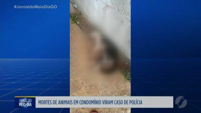 Mortes de animais em condom&iacute;nio viram caso de pol&iacute;cia