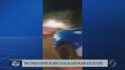 itemTrês homens são presos por abate ilegal de gado em Bom Jesus de Goiás