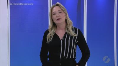 Bombeiros resgatam tamandu&aacute; em Goian&eacute;sia