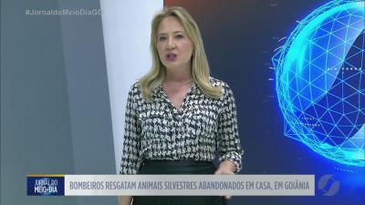 itemBombeiros resgatam animais silvestres abandonados em casa em Goiânia