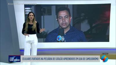 itemCelulares furtados na pecuária de Catalão apreendidos em loja de camelódromo