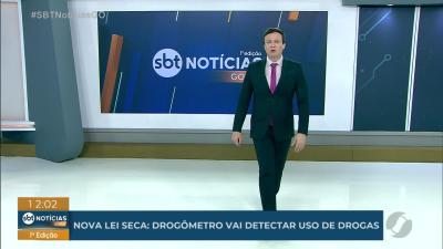 Tropa de cavalos avaliada em R$ 30 milhões está em Goiânia