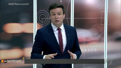 itemCachorros desaparecidos em Goiânia e Jataí