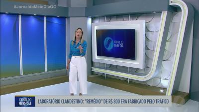 Estufa do tr&aacute;fico &eacute; desmantelada e suspeito est&aacute; foragido no sul do estado