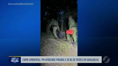 Batalh&atilde;o Ambiental da PM apreende peixes em Aragar&ccedil;as