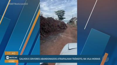 Galhos de &aacute;rvores abandonados atrapalham tr&acirc;nsito na Vila Morais em Goi&acirc;nia