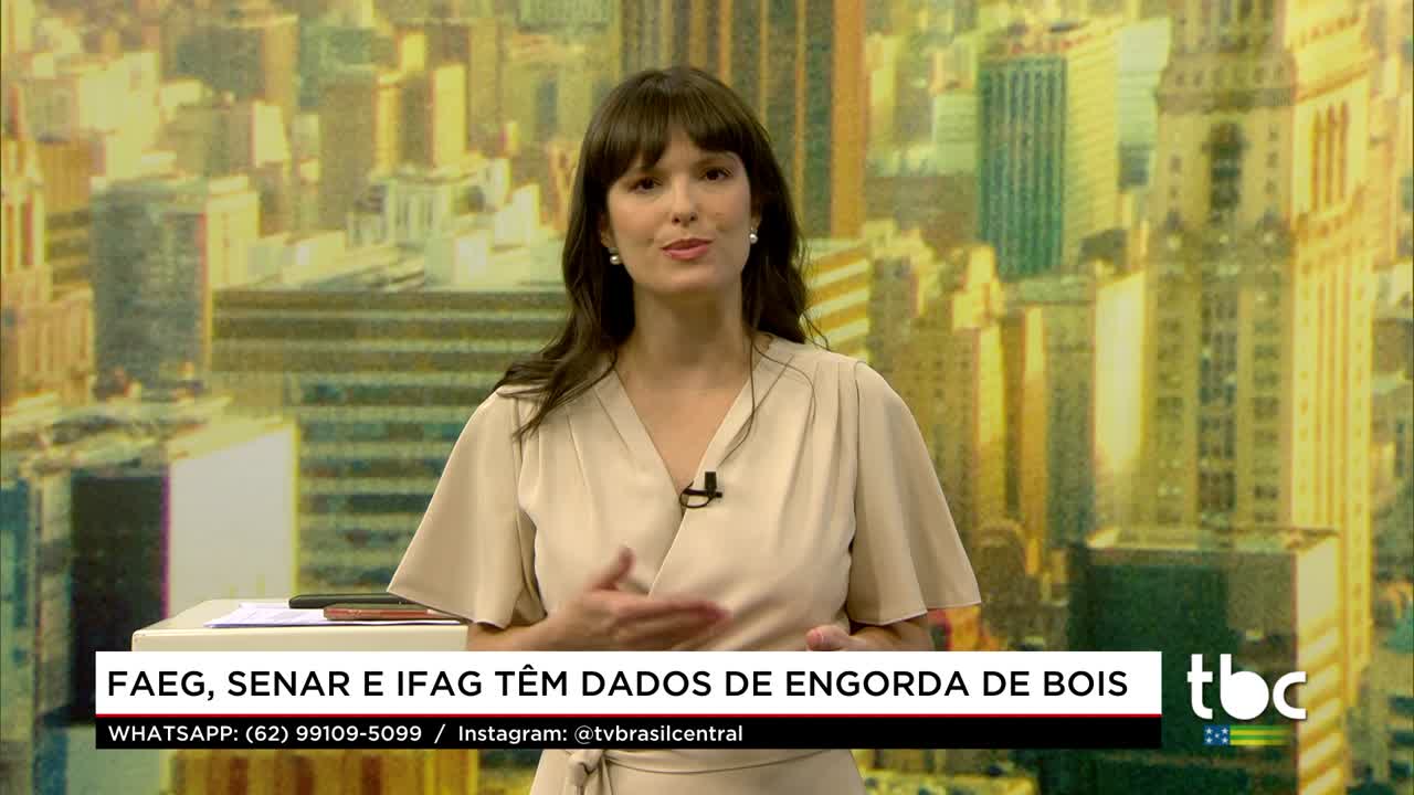 itemFaeg, Senar e Ifag têm Dados de Engorda de Boi