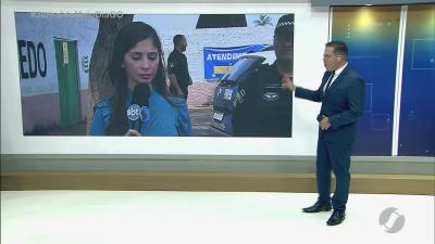 itemPresos suspeitos de derrubar árvores de eucaliptos às margens da GO-040
