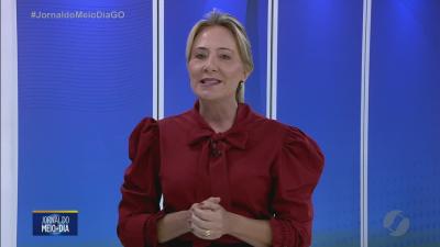 Criatividade e amor - estilista transforma pets com roupas exclusivas