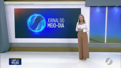 On&ccedil;a-parda resgatada morre durante transporte