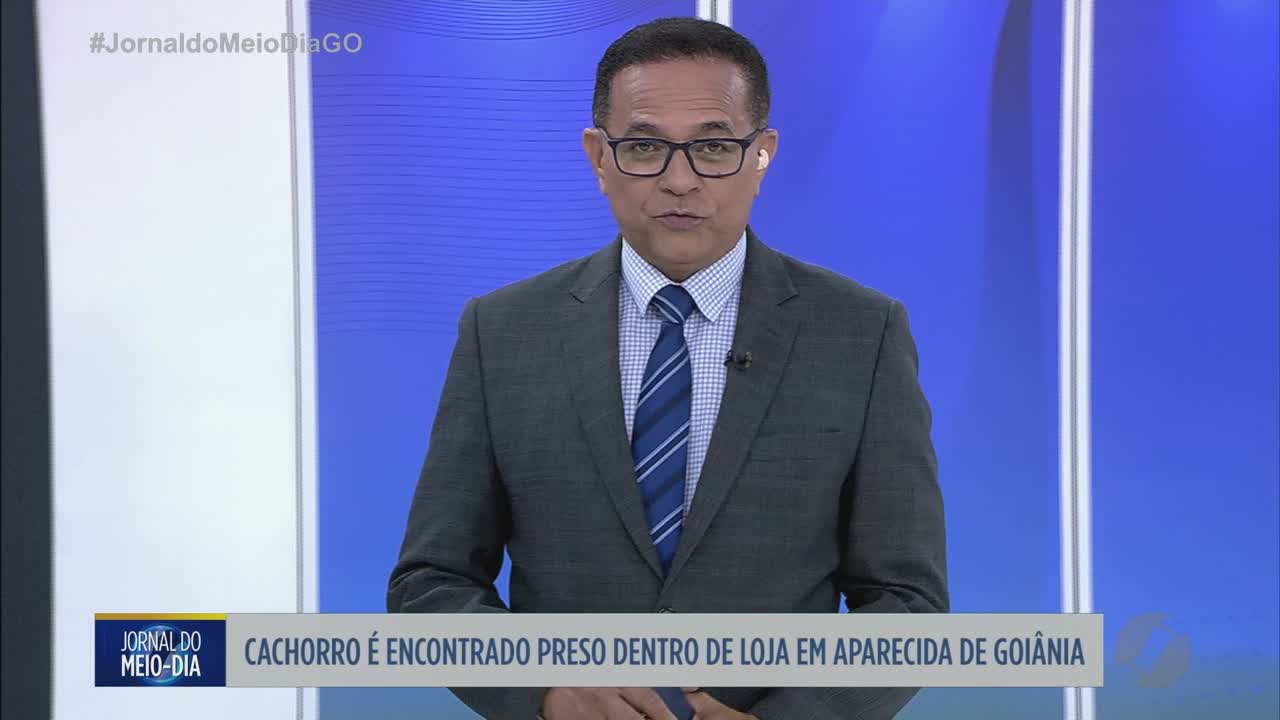 itemCachorro é encontrado preso dentro de loja em Aparecida de Goiânia