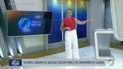 itemOssada encontrada em obra no Jardim América em Goiânia