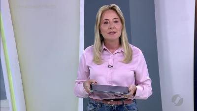 itemCães desaparecidos em Goiânia e Anápolis