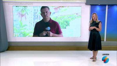 itemTelespectadora fã do JMD e do repórter Wendell Pasquetto