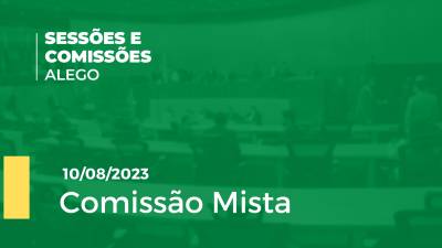 Imagem de capa do vídeo - Comissão mista