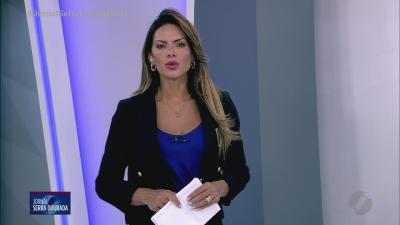 PC resgata cães vítimas de maus-tratos em Mineiros