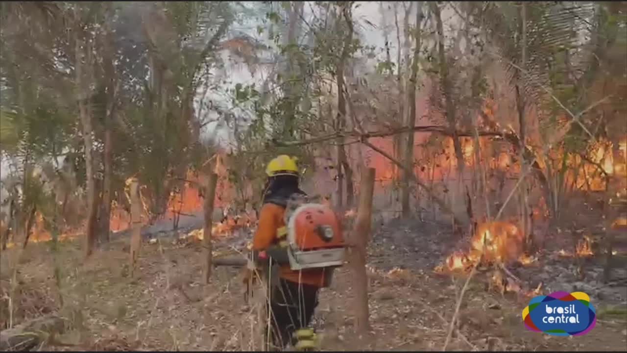 itemBombeiros combatem Incêndio em Alto Paraiso, Colinas do Sul e Cavalcante