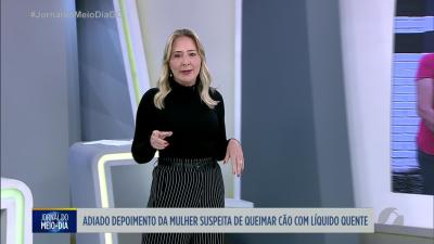 itemAdiado depoimento da mulher suspeita de queimar cão