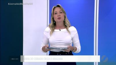 On&ccedil;a-pintada &eacute; flagrada nadando no Rio Araguaia