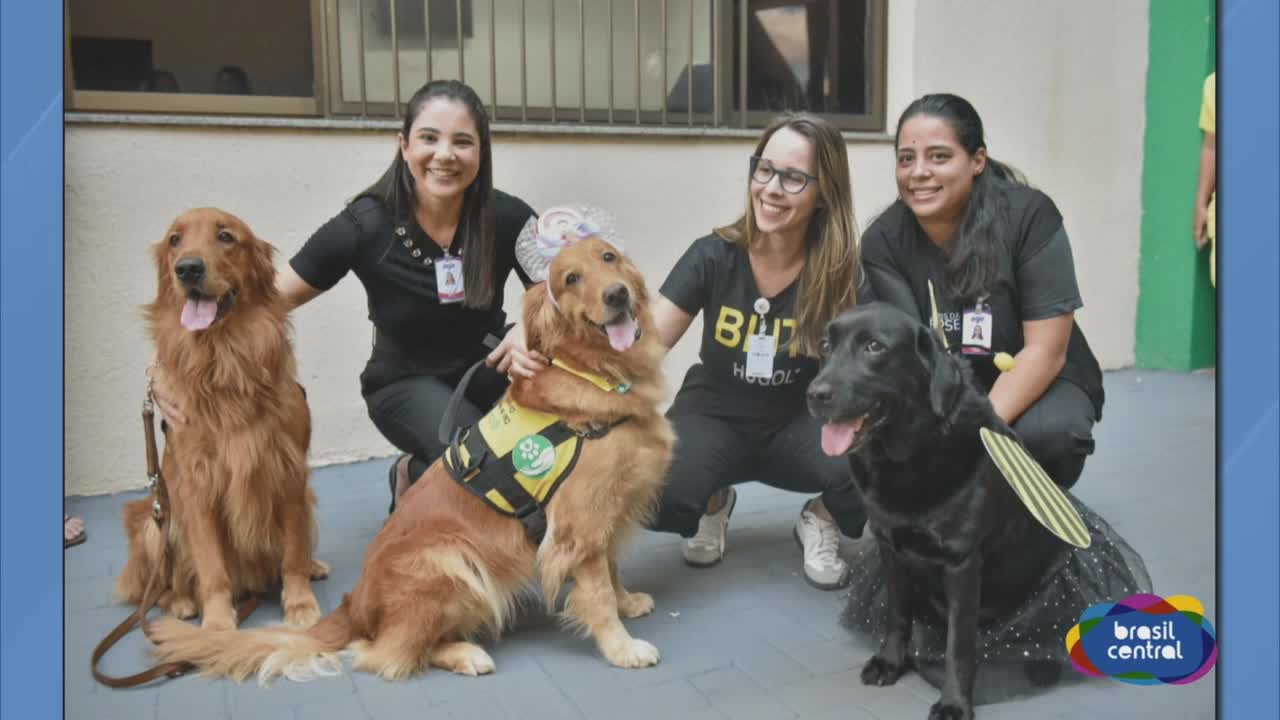 itemPaciente do Hugol recebem visita de Cães Terapêuticos.