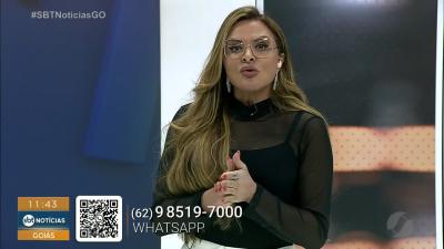 itemEnxame de abelhas interdita visitas ao Cristo em Senador Canedo