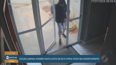 itemHomem mata gato de ex-companheira e ateia fogo no apartamento em Águas Lindas