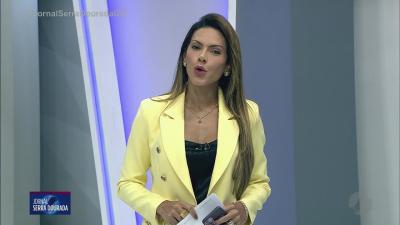 itemOuriço sobe em poste e vira atração de curiosos em Morrinhos