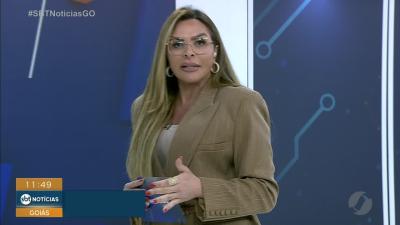 Cachorrinhos abandonados precisam de ado&ccedil;&atilde;o