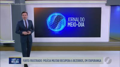 Opera&ccedil;&atilde;o combate furto de pedras de fel em Goi&aacute;s