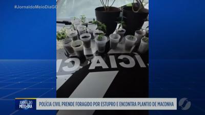 itemDestaques policiais