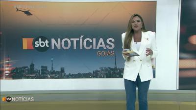 itemPorco espinho é resgatado pelo Corpo de Bombeiros