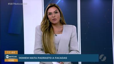 Cavalo passeia entre carros na GO-060