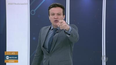 Homem &eacute; flagrado maltratando c&atilde;es em Itabera&iacute;