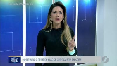 itemPrimeiro caso de gripe aviária em Goiás é confirmado