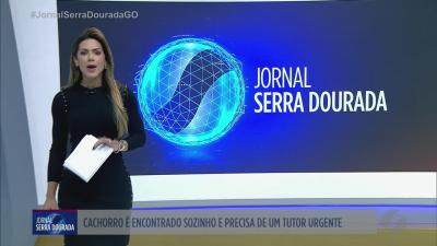 itemJiboia aparece em painel de carro e assusta motorista em Senador Canedo