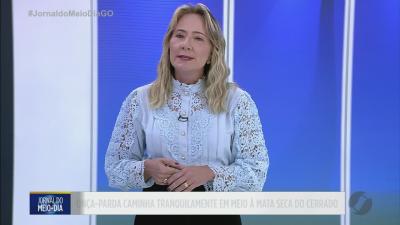 On&ccedil;a-parda &eacute; flagrada caminhando no cerrado