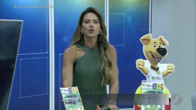 itemBombeiros resgatam boi e burro que caíram em buracos no estado