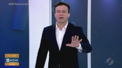 Bombeiros resgatam cachorro dentro do motor de um carro em Quirin&oacute;polis