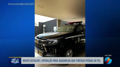 Opera&ccedil;&atilde;o da PC mira quadrilha que furtava pedras de fel em Goi&aacute;s