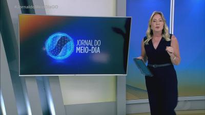 C&atilde;es s&atilde;o abandonados em casa em An&aacute;polis