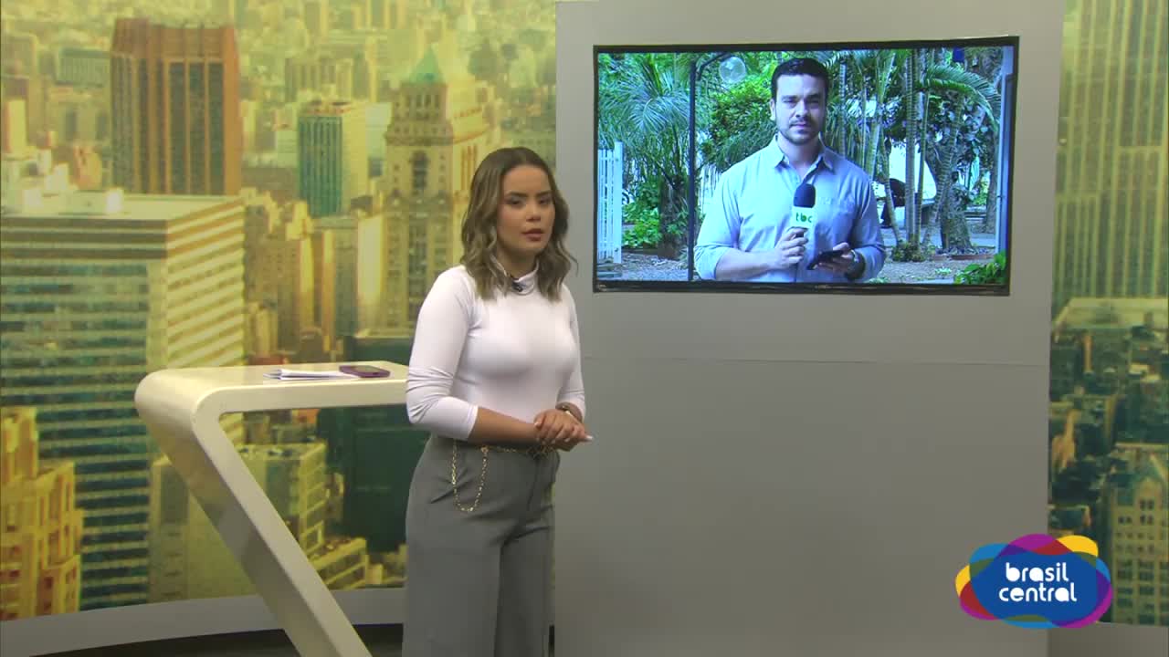 Senador Canedo: Homem é preso após agredir Mulher com Cadeira