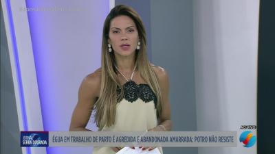 itemGoiás inicia megaoperação contra bebidas adulteradas com metanol